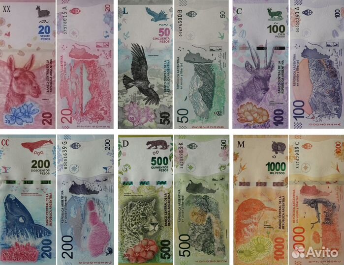 Банкноты Аргентины