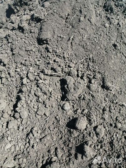 Земля растительная, чернозём, грунт плодородный