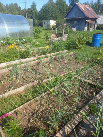 Дом 10 м² на участке 6 сот.