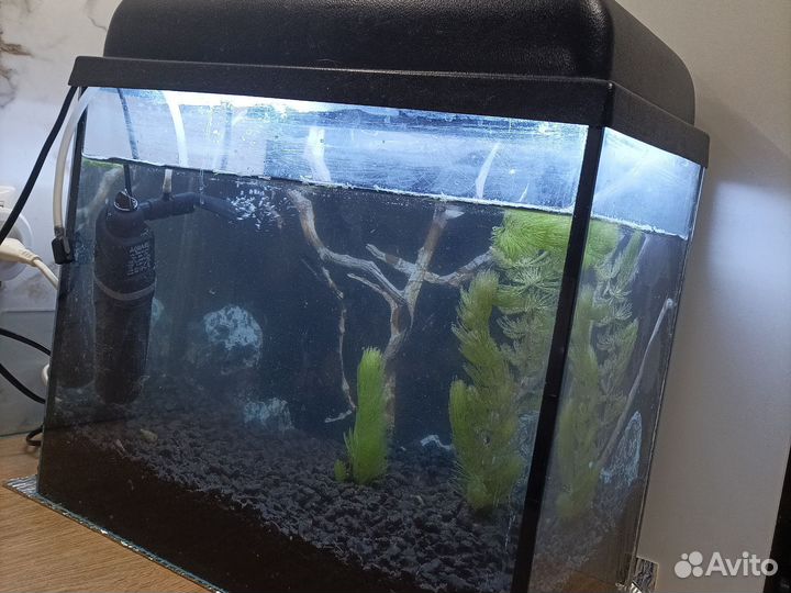 Аквариум