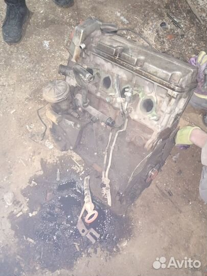 Двигатель бмв 1.6 m43b16