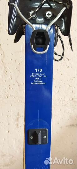 Беговые лыжи