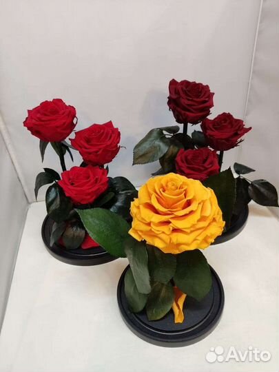 Стабилизированная роза в колбе