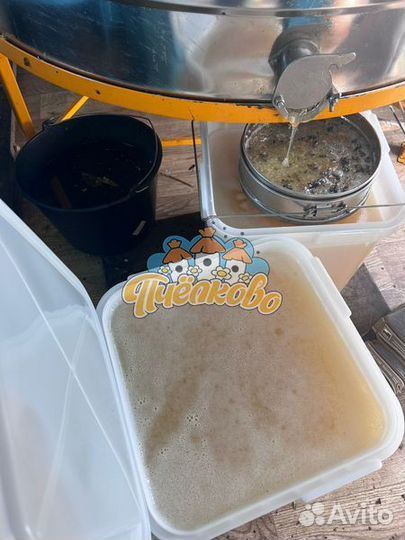 Мёд Белой Акации оптом 2023года