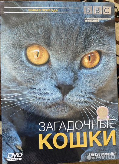 Двд диски фильмы одним лотом