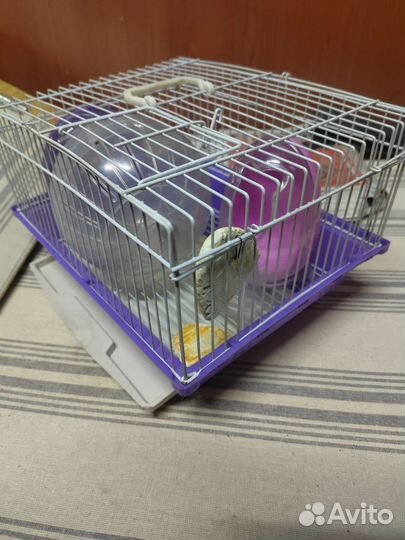 Клетка для грызунов