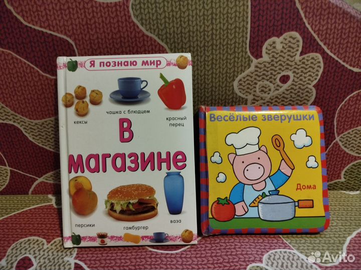 Книги я познаю мир