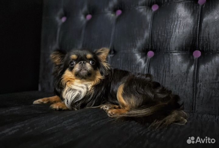 Вязка дш голубой