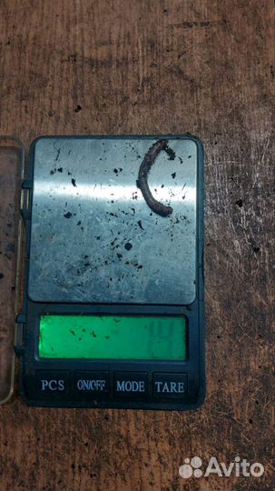 Червь дендробена