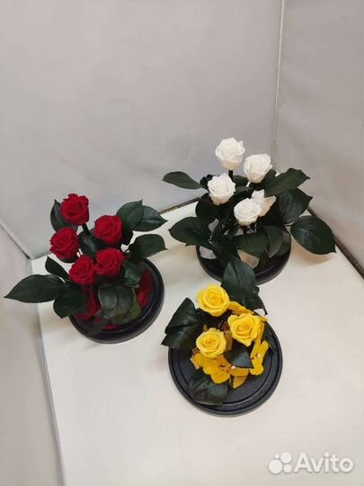 Роза в колбе