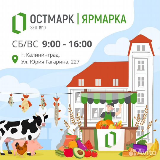 Горбуша неразделённая