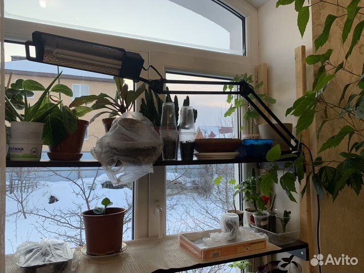 Светильник для растений и работы за столом