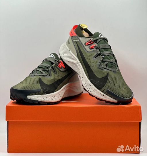 Кроссовки Nike Pegasus (42)