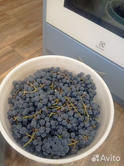 Винный виноград 50 р. кило