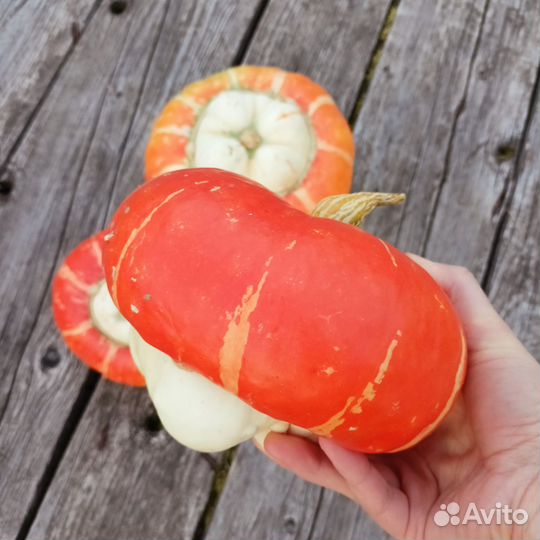 Тыква декоративная осенний декор для дома