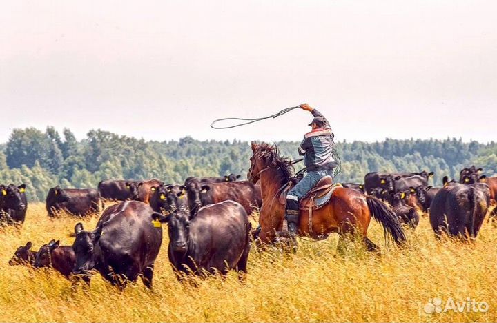 Рабочий (оператор) на ферму