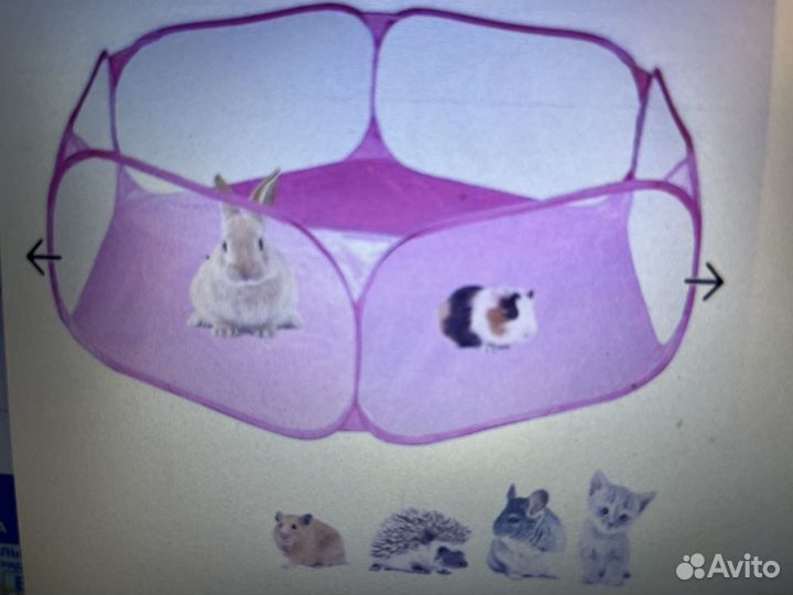 Товары для домашних животных