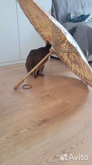 Декоративный бумажный зонт