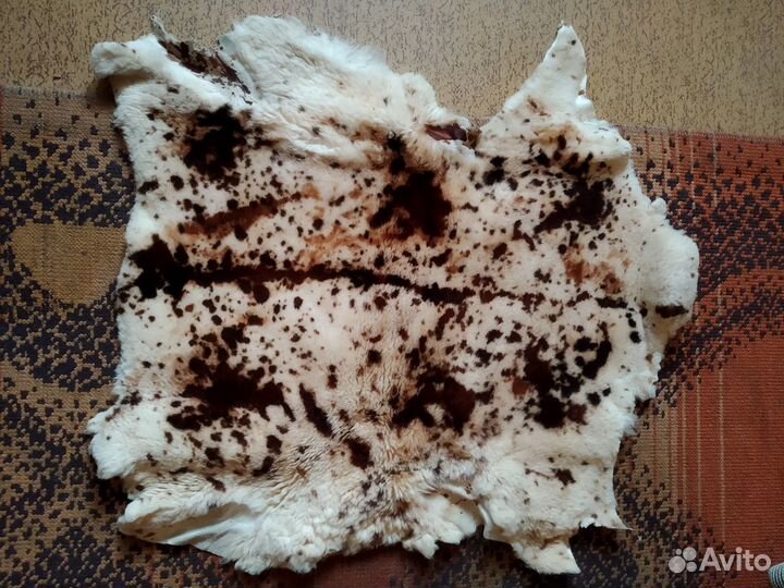 Шкуры овечьи