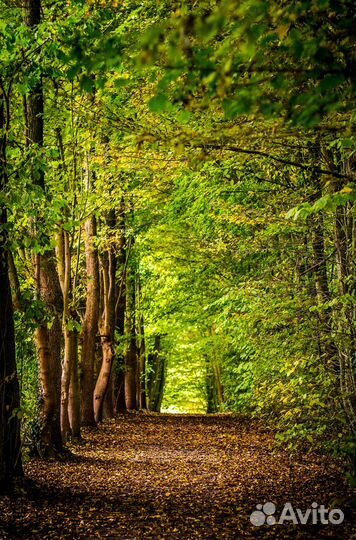 Фоторедактор, Ретушь фотографий услуги Фотошоп