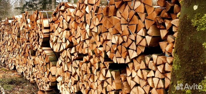Дрова осина