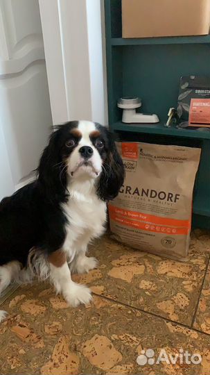 Корм для собак grandorf с кроликом