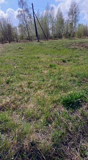 Участок 10 сот. (ИЖС)