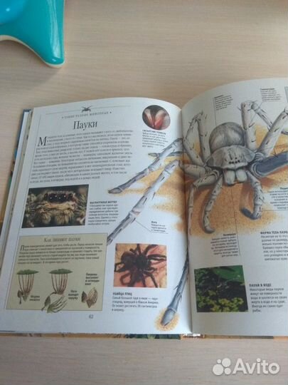 Энциклопедия 