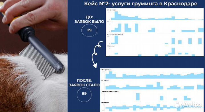 Услуги авитолога с опытом. Заявки и результат