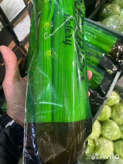 Корень сельдерея