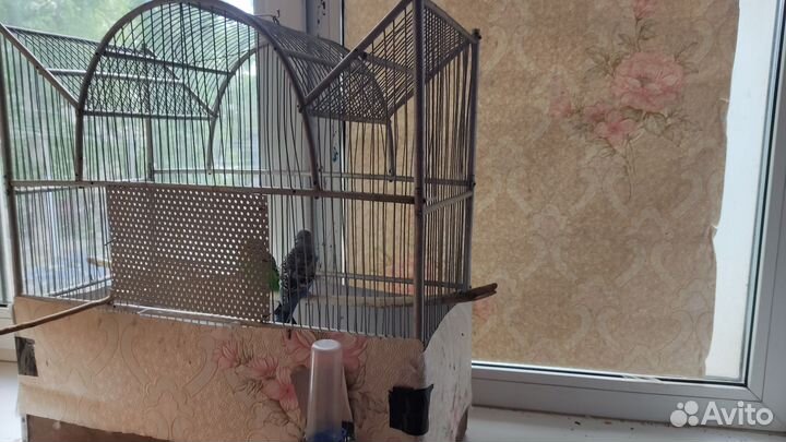 Клетка для волнистого попугая