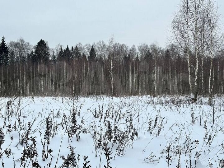 Участок 9,1 сот. (ИЖС)