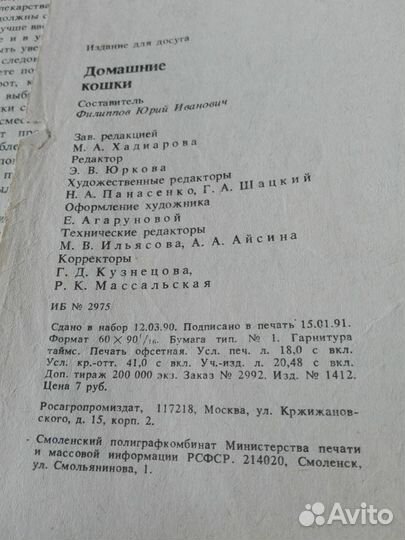 Домашние кошки