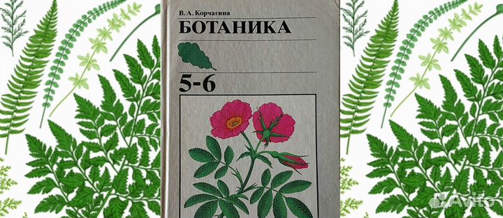 Лучшие школьные учебники / 4-6 класс. СССР