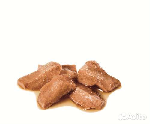 Royal Canin Maine Coon Adult, в соусе 24шт