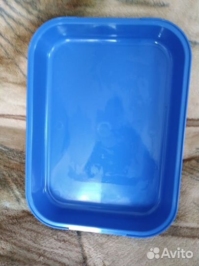 Лоток новый, поводок для кота, собачки мелкой