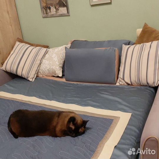 Постельное белье по размерам из тенселя и сатина