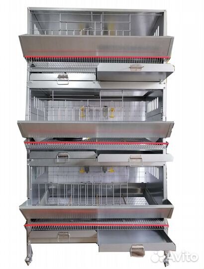 Клеточная батарея для Кур-Несушек