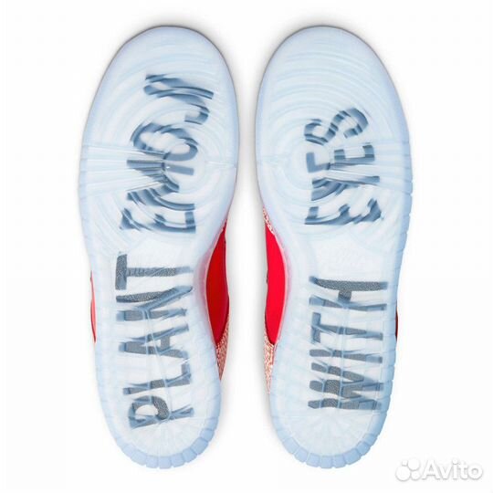 Nike X stingwater SB dunk LOW magic mushroom