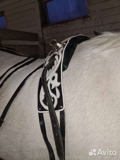 Упряж на лошадь