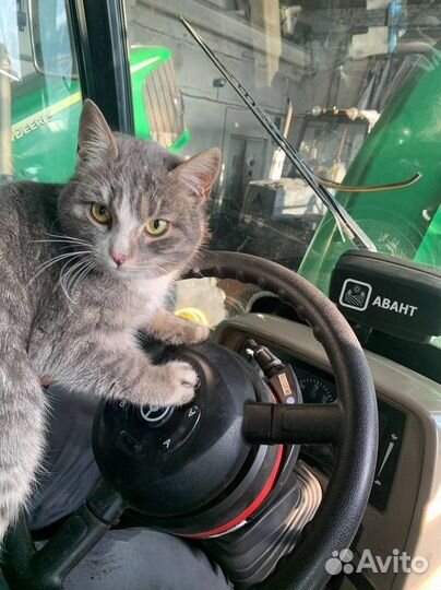 Автопилот allynav