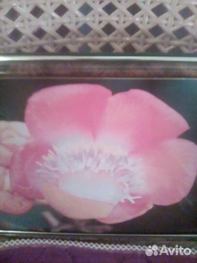 Рамки для фотографий