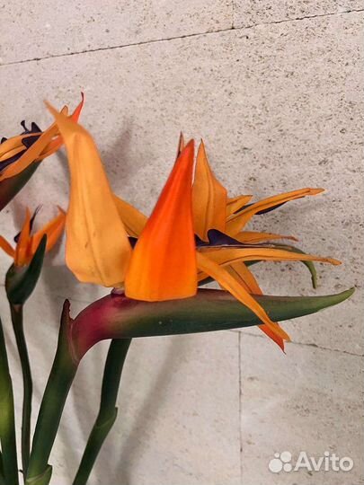 Искуственная композиция