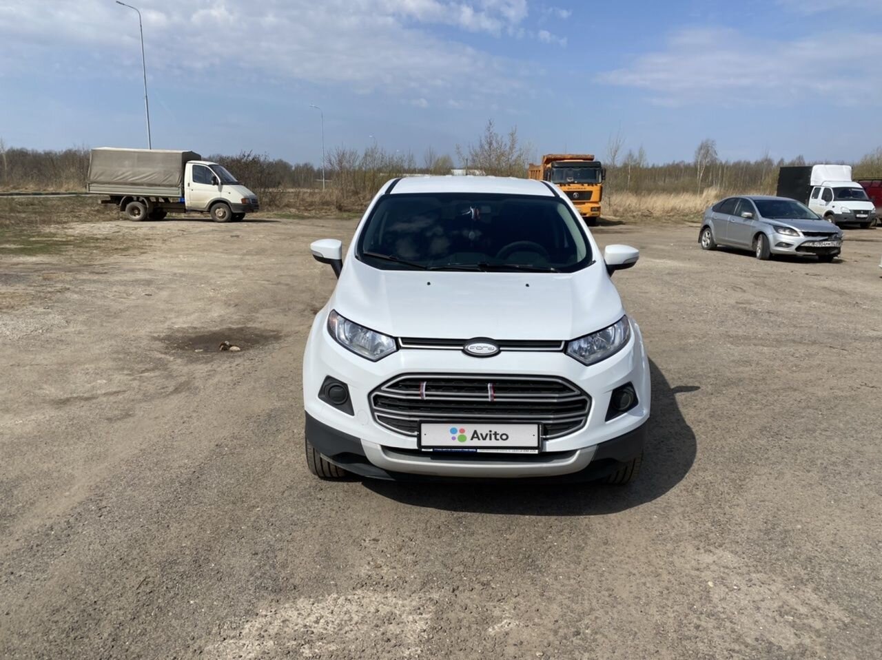 Ford EcoSport: фото владельца