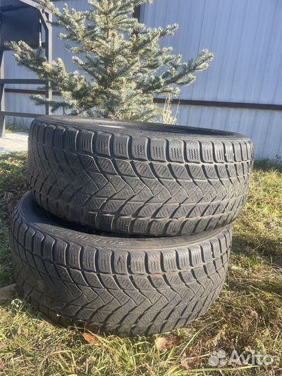 Landsail Winter Lander 205/50 R17