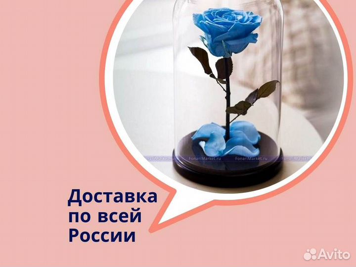 Неувядающая роза в колбе