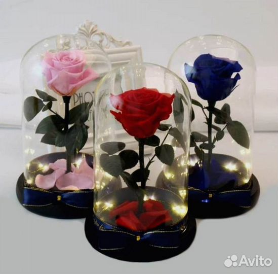 Роза в колбе