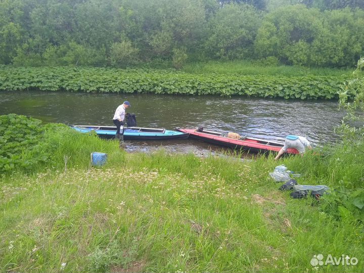 Пассажирские перевозки, грузоперевозки