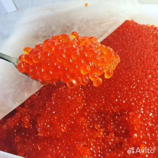Икра красная кеты