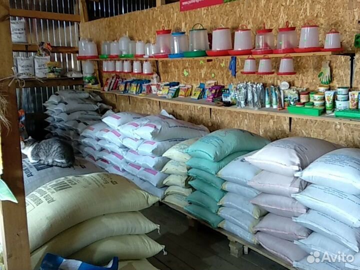 Комбикорма